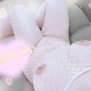 ヒメ日記 2026/02/24 16:49 投稿 こゆき 浜松駅前ちゃんこ