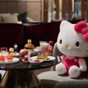 ヒメ日記 2026/02/25 16:50 投稿 こゆき 浜松駅前ちゃんこ