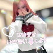 ヒメ日記 2026/02/25 18:50 投稿 こゆき 浜松駅前ちゃんこ