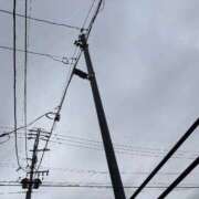 ヒメ日記 2026/03/03 14:52 投稿 こゆき 浜松駅前ちゃんこ