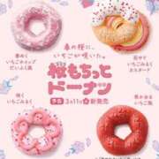 ヒメ日記 2026/03/07 13:13 投稿 こゆき 浜松駅前ちゃんこ