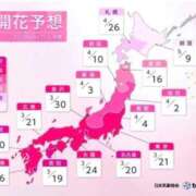 ヒメ日記 2026/03/11 21:09 投稿 こゆき 浜松駅前ちゃんこ