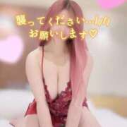 ヒメ日記 2026/03/13 13:09 投稿 こゆき 浜松駅前ちゃんこ