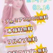 ヒメ日記 2026/03/14 09:59 投稿 こゆき 浜松駅前ちゃんこ