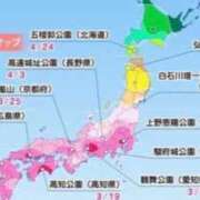 ヒメ日記 2026/03/15 17:09 投稿 こゆき 浜松駅前ちゃんこ