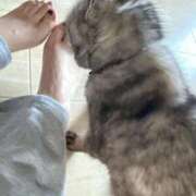 ヒメ日記 2026/03/16 12:56 投稿 こゆき 浜松駅前ちゃんこ