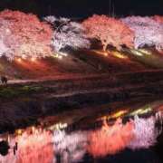 ヒメ日記 2026/03/21 16:29 投稿 こゆき 浜松駅前ちゃんこ