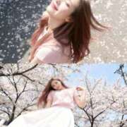 ヒメ日記 2026/03/27 10:39 投稿 こゆき 浜松駅前ちゃんこ