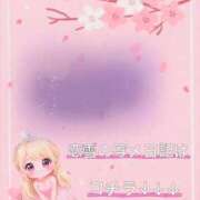 ヒメ日記 2026/03/29 14:29 投稿 こゆき 浜松駅前ちゃんこ