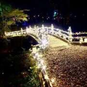 ヒメ日記 2026/03/31 18:39 投稿 こゆき 浜松駅前ちゃんこ