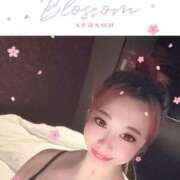 ヒメ日記 2026/03/31 22:59 投稿 こゆき 浜松駅前ちゃんこ