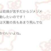 ヒメ日記 2026/03/31 23:19 投稿 こゆき 浜松駅前ちゃんこ