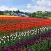 ヒメ日記 2026/04/03 16:06 投稿 こゆき 浜松駅前ちゃんこ