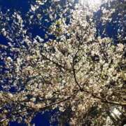 ヒメ日記 2026/04/04 13:09 投稿 こゆき 浜松駅前ちゃんこ