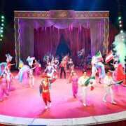 ヒメ日記 2026/04/05 12:09 投稿 こゆき 浜松駅前ちゃんこ