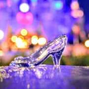 ヒメ日記 2026/04/06 00:59 投稿 こゆき 浜松駅前ちゃんこ