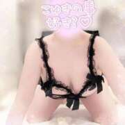 ヒメ日記 2026/04/12 08:29 投稿 こゆき 浜松駅前ちゃんこ