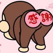 ヒメ日記 2026/04/30 18:19 投稿 こゆき 浜松駅前ちゃんこ
