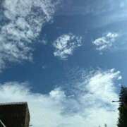 ヒメ日記 2026/05/07 15:29 投稿 こゆき 浜松駅前ちゃんこ