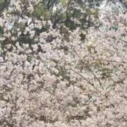 ヒメ日記 2026/04/07 10:05 投稿 あいり 変態ドットコム～即尺痴女伝説