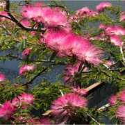 ヒメ日記 2025/10/27 23:40 投稿 椿愛里 五十路マダム静岡店（カサブランカG）