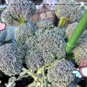 ヒメ日記 2026/01/30 19:14 投稿 椿愛里 五十路マダム静岡店（カサブランカG）