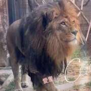 ヒメ日記 2026/02/01 08:58 投稿 椿愛里 五十路マダム静岡店（カサブランカG）