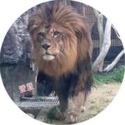 ヒメ日記 2026/02/02 09:42 投稿 椿愛里 五十路マダム静岡店（カサブランカG）