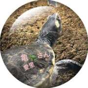 ヒメ日記 2026/02/02 21:30 投稿 椿愛里 五十路マダム静岡店（カサブランカG）