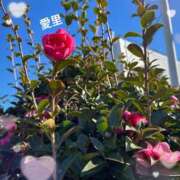 ヒメ日記 2026/02/07 14:00 投稿 椿愛里 五十路マダム静岡店（カサブランカG）