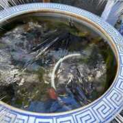 椿愛里 氷 五十路マダム静岡店（カサブランカG）