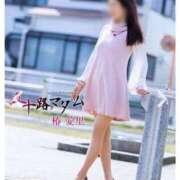 ヒメ日記 2026/03/03 11:46 投稿 椿愛里 五十路マダム静岡店（カサブランカG）