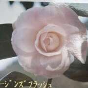 ヒメ日記 2026/03/05 05:20 投稿 椿愛里 五十路マダム静岡店（カサブランカG）