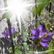 椿愛里 今日も暑い日に 五十路マダム静岡店（カサブランカG）