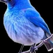 ヒメ日記 2025/11/04 11:13 投稿 かすみ アイムシェイク