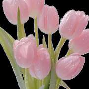 ヒメ日記 2025/11/10 21:10 投稿 かすみ アイムシェイク