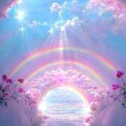 ヒメ日記 2025/11/24 18:35 投稿 かすみ アイムシェイク