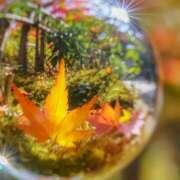 ヒメ日記 2025/12/03 18:36 投稿 かすみ アイムシェイク