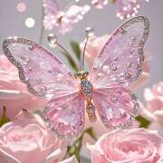 ヒメ日記 2025/12/11 09:37 投稿 かすみ アイムシェイク