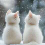 ヒメ日記 2025/12/19 21:10 投稿 かすみ アイムシェイク