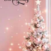 ヒメ日記 2025/12/25 18:40 投稿 かすみ アイムシェイク