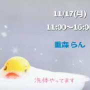 ヒメ日記 2025/11/17 01:24 投稿 重森らん ミセスの癒しエステ