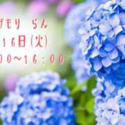 ヒメ日記 2026/06/16 10:37 投稿 重森らん ミセスの癒しエステ