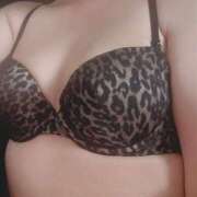 ヒメ日記 2025/12/06 08:33 投稿 奈緒 出会い系人妻ネットワーク札幌駅～大通り・すすきの編