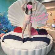 ヒメ日記 2025/11/28 16:55 投稿 カラー 飾窓