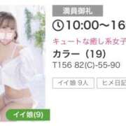 ヒメ日記 2026/02/10 11:51 投稿 カラー 飾窓