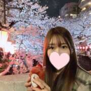 ヒメ日記 2026/04/08 16:45 投稿 カラー 飾窓