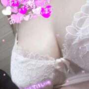 ヒメ日記 2025/11/03 08:19 投稿 ちあき 鹿児島ちゃんこ霧島店