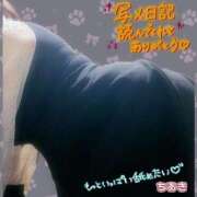 ヒメ日記 2025/11/08 08:09 投稿 ちあき 鹿児島ちゃんこ霧島店