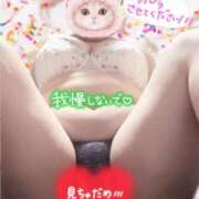 ヒメ日記 2025/11/08 19:09 投稿 ちあき 鹿児島ちゃんこ霧島店